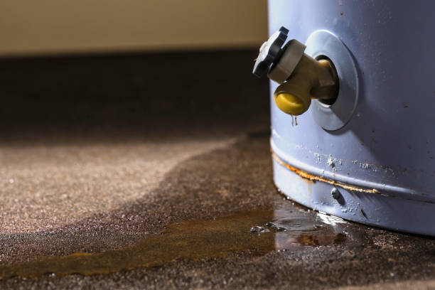 Best Flooded house restoration  in Jackson, GA