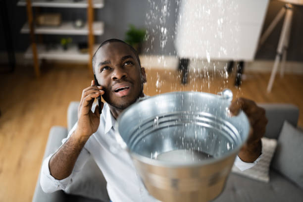 Best Flood damage cleanup  in Jackson, GA