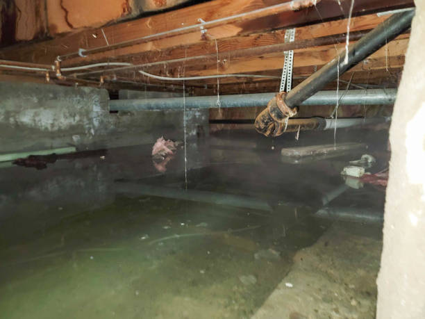 Best Water damage restoration near me  in Jackson, GA