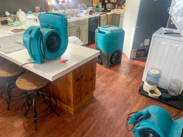 Best Water damage cleanup near me  in Jackson, GA