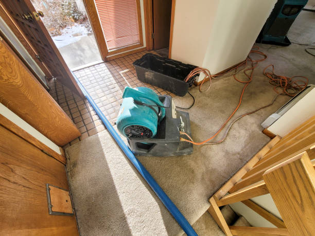 Water damage restoration insurance claims in Jackson, GA