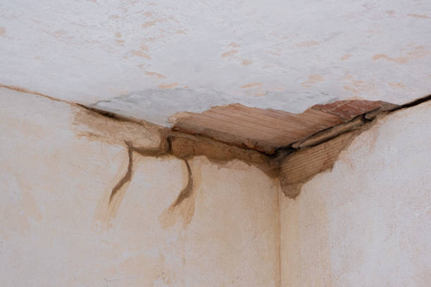 Best Flood damage cleanup  in Jackson, GA