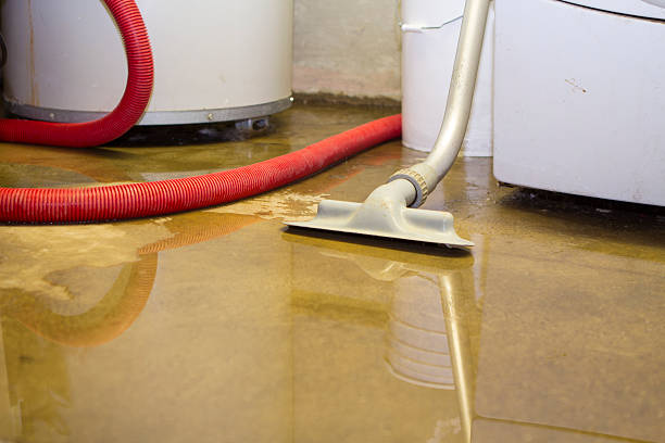 Best 24/7 water damage repair  in Jackson, GA