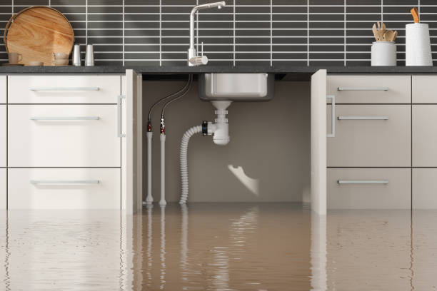 Best Commercial water damage restoration  in Jackson, GA