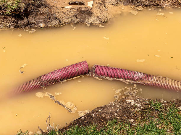 Best Basement water damage restoration  in Jackson, GA