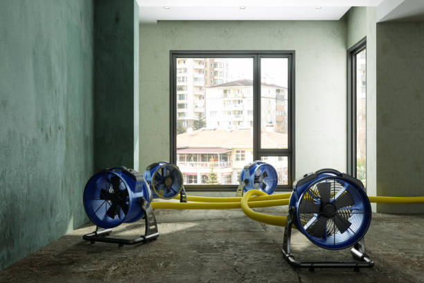 Best Water damage restoration services  in Jackson, GA