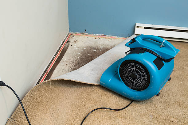 Reliable Jackson, GA Water damage restoration Solutions